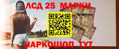 индика Кандалакша