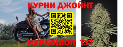 индика Кандалакша