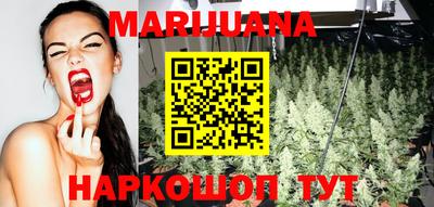 индика Кандалакша
