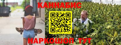индика Кандалакша