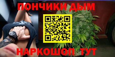 индика Кандалакша