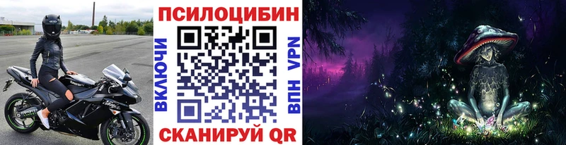 купить  цена  Люберцы  Галлюциногенные грибы Psilocybine cubensis 